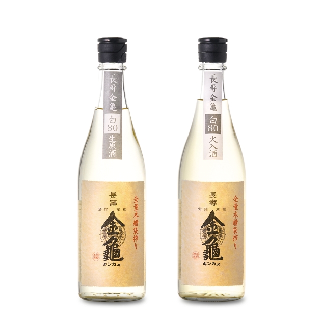 長寿金亀 白80